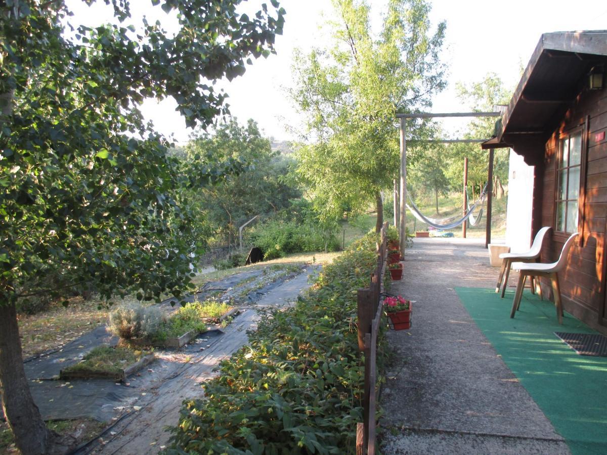 Bungalow "A Choupana" - Quinta Da Carvoica - Vale Pradinhos Vale de Pradinhos Exterior photo